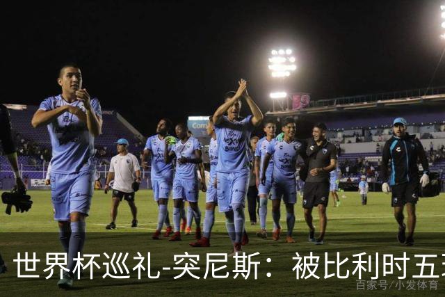 世界杯巡礼-突尼斯：被比利时五球“羞辱”，迦太基之鹰前途难测