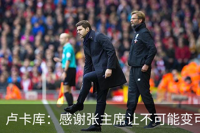 卢卡库：感谢张主席让不可能变可能 会全力帮国米