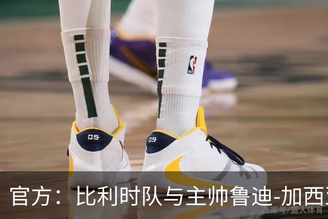 官方：比利时队与主帅鲁迪-加西亚到期不再续约