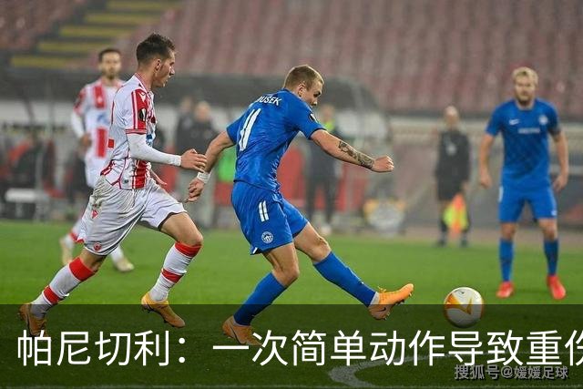 帕尼切利：一次简单动作导致重伤，起初一直问这种事怎么会发生