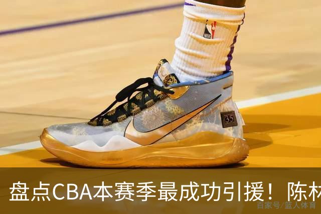 盘点CBA本赛季最成功引援！陈林坚第五，庞老六第四，徐昕第三，张镇麟第二，总决赛MVP第一！